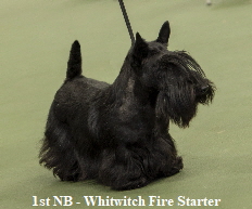 1st NB - Whitwitch Fire Starter