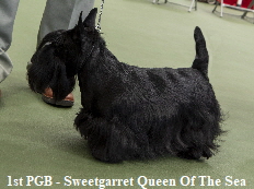 1st PGB - Sweetgarret Queen Of The Sea